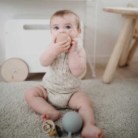 قاب پستانک سیلیکونی رنگ کالباسی چیکو Chicco