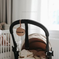 قاب پستانک سیلیکونی جدید رنگ نسکافه ای چیکو Chicco