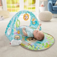 پلي جيم فیشر پرایس Fisher price