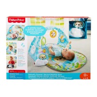 پلي جيم فیشر پرایس Fisher price