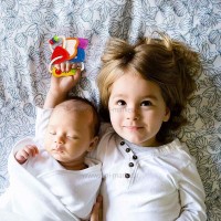 جغجغه دسته کلید هولی تویز Hola toys