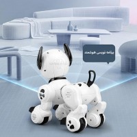 سگ کنترلی هوشمند  LE NENG TOYS - K27