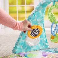 پلي جيم فیشر پرایس Fisher price